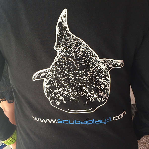 Gran formato playa del carmen